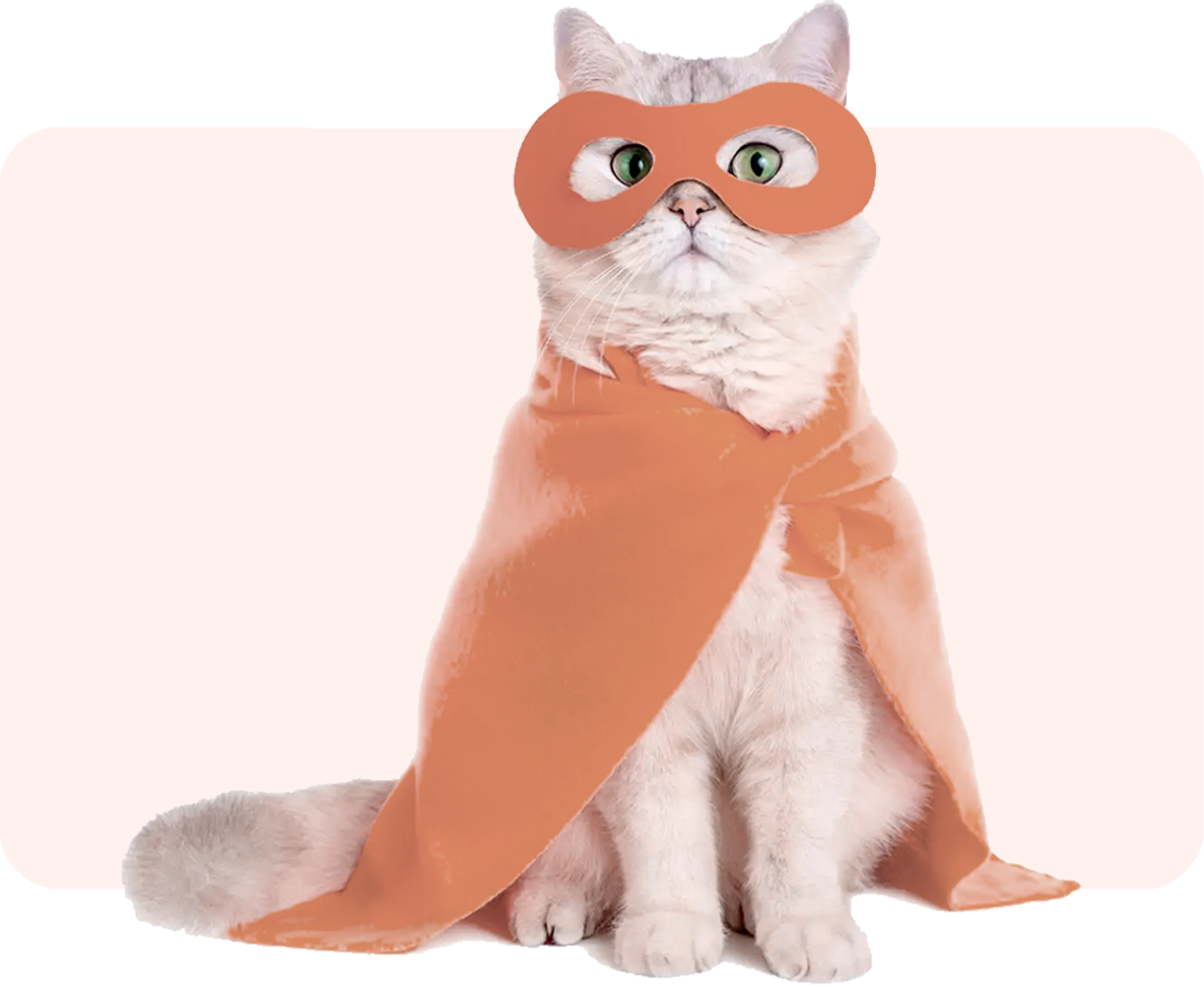 800x1080 Foster Hero 1.2 copy